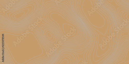 Grey curve line color background topography contour map relief land texture art, abstract contour line style geodesy geographic mountain topography vintage outdoors style seamless pattern background.