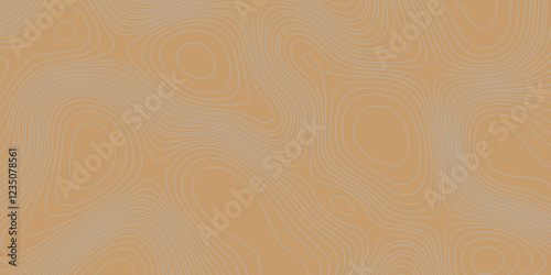 Grey curve line color background topography contour map relief land texture art, abstract contour line style geodesy geographic mountain topography vintage outdoors style seamless pattern background.