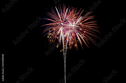 A brilliant firework display bursts in the night sky with vibrant colors