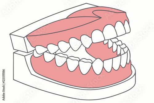Dental model, realistic teeth, gums, 3D render, anatomical, orthodontics, dentures, oral health, medical illustration, close-up, detailed, symmetrical, pink gums, white enamel, glossy texture, educati