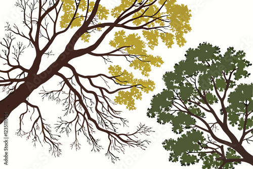 Aerial view of trees, diverse tree species, top-down perspective, circular tree canopies, seasonal variations, lush foliage, green and yellow leaves, detailed branch structure, nature from above, fore