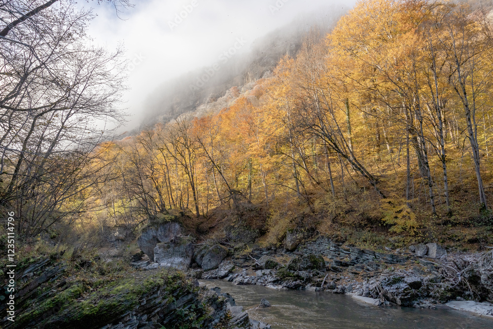 morning in a mountainous area, frost falling on the trees, the first rays of the sun awaken nature morning in a mountainous area, frost falling on the trees, the first rays of the sun awaken nature