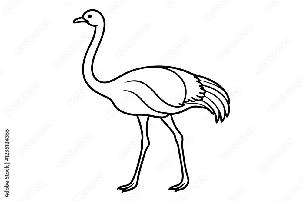 Simple Ostrich Line Art – Beautiful Black and White Sketch Simple Ostrich Line Art – Beautiful Black and White Sketch