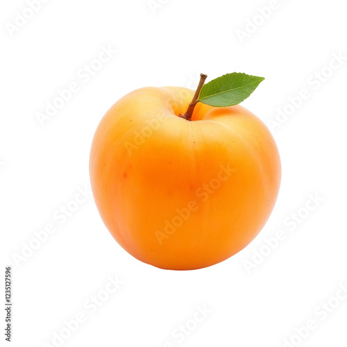 Apricot, fresh ripe fruit isolated on transparent background, close-up shot