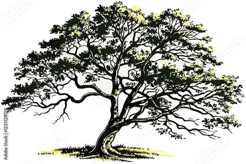  Isolated tree, lush green foliage, detailed branches, white background, photorealistic, high resolution, botanical illustration, nature photography, environmental study, deciduous tree, full canopy, 