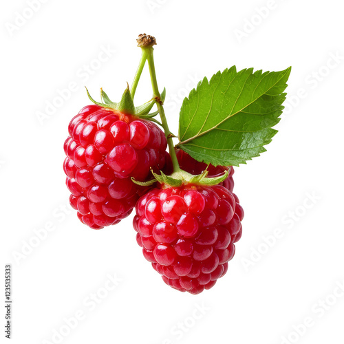 Raspberry, fresh ripe fruit isolated on transparent background, close-up shot