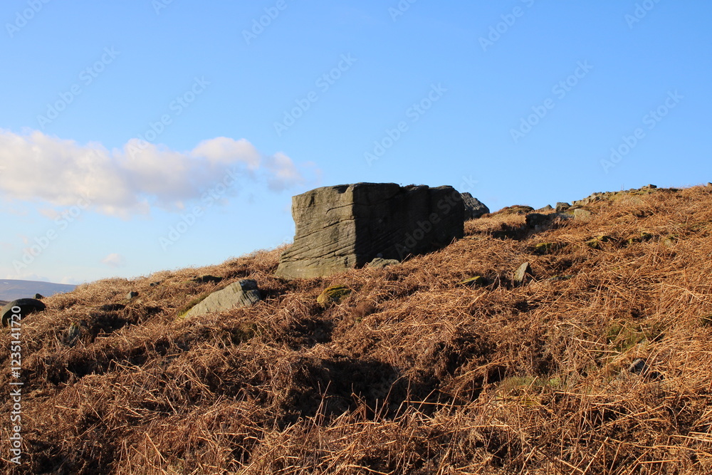 Big stone surrounded by dried bracken! Big stone surrounded by dried bracken!