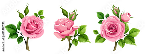 Pink roses. Set of three pink roses with green leaves isolated on a white background. Vector floral design elements