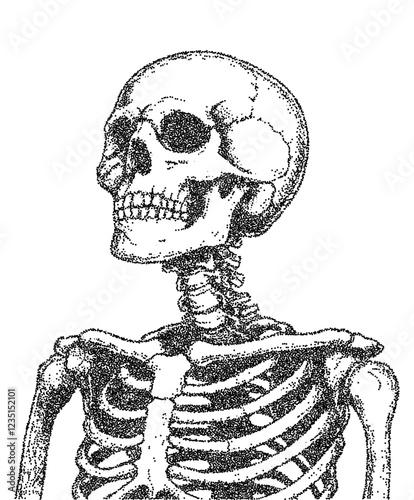 Human skeleton with halftone stipple effect, perfect for grunge punk collages. A vintage photocopy-style vector with grainy textures and noisy dotwork for a bold, distressed look.