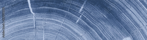 Blue gray white stamp impression of end grain of wood slab. Tree rings ripples art with texture and cracked surface.