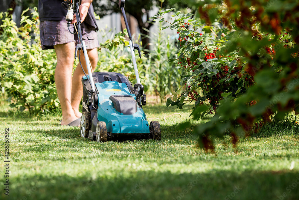 A man with a lawn mower mows the grass in the backyard. Agricultural machinery for garden maintenance. The banner. A man with a lawn mower mows the grass in the backyard. Agricultural machinery for garden maintenance. The banner.