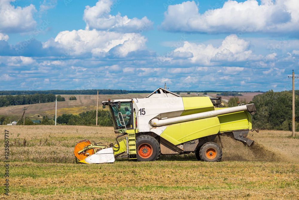 Fototapeta premium Agricultural industry. A combine harvester harvests from the field. The concept of processing and collection . Rural landscape. Agricultural machinery.
