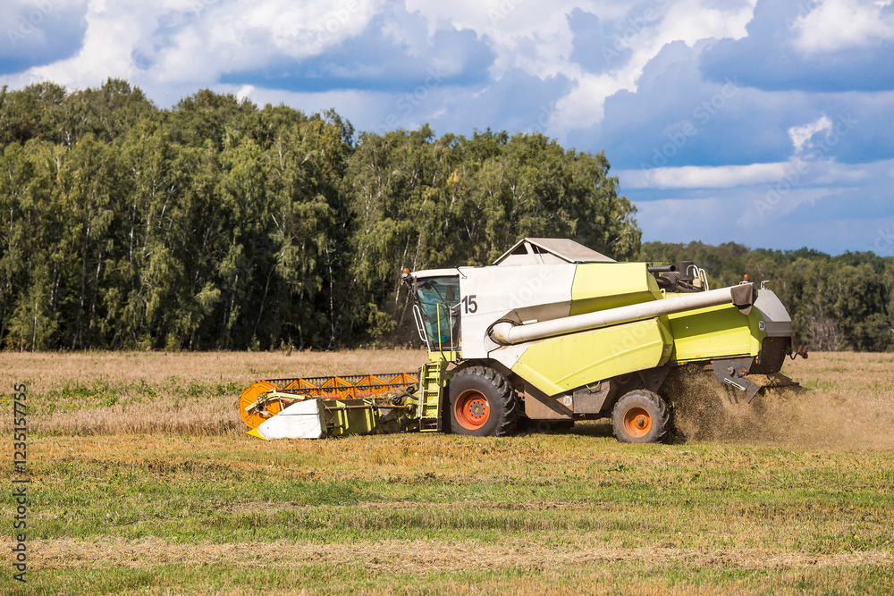 Obraz premium Agricultural industry. A combine harvester harvests from the field. The concept of processing and collection . Rural landscape. Agricultural machinery.