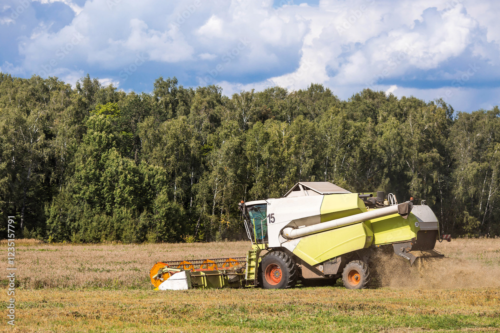 Obraz premium Agricultural industry. A combine harvester harvests from the field. The concept of processing and collection . Rural landscape. Agricultural machinery.