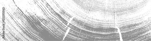 Gray ink stamp impression of end grain of wood slab. Tree rings art with texture and cracked surface.