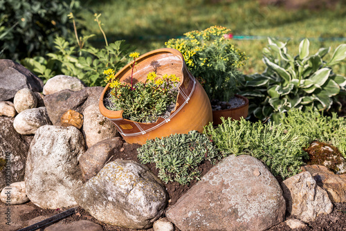 Landscape design. Planting, disembarking, and gardening. A natural, blooming, environmentally friendly natural background.