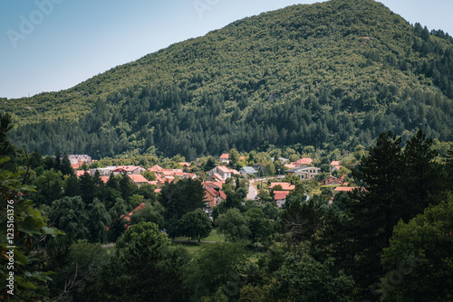 small village in Montenegro mountains and forest.