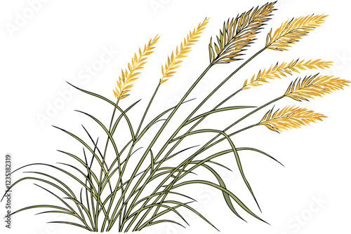  A photograph of a small bouquet of ornamental grasses, featuring feathery, golden-brown plumes and slender green stems, set against a plain white background. The grasses are arranged in a loose, natu