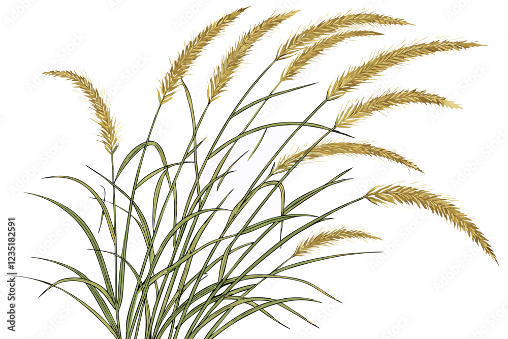 A photograph of a small bouquet of ornamental grasses, featuring feathery, golden-brown plumes and slender green stems, set against a plain white background. The grasses are arranged in a loose, natu A photograph of a small bouquet of ornamental grasses, featuring feathery, golden-brown plumes and slender green stems, set against a plain white background. The grasses are arranged in a loose, natu