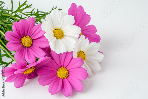 Close-up shot of fresh wildflowers in shades of pink - Ideal for botanical magazines and nature-themed websites