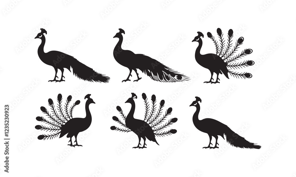 Obraz premium Elegant Peacock Vector Illustration Collection - Silhouette and Detailed Peacock Designs