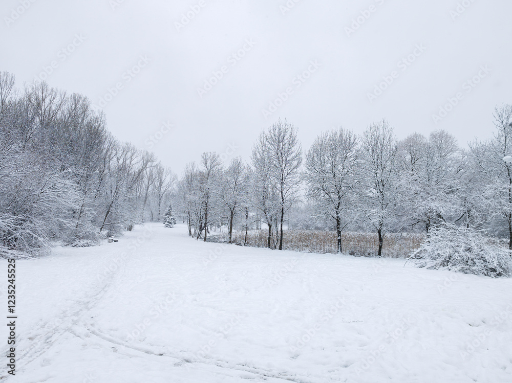 Landscape of South Park in city of Sofia, Bulgaria Landscape of South Park in city of Sofia, Bulgaria