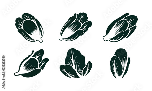 Explore intricate black and white illustrations of romaine lettuce leaves with detailed veins.