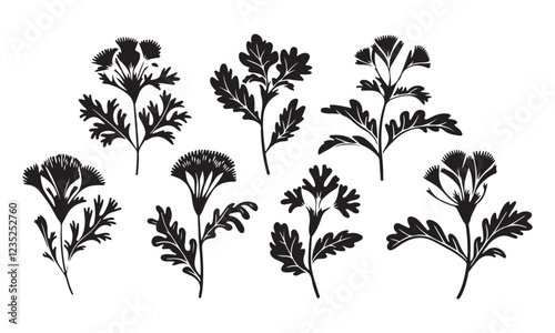 Vector Floral Illustration Collection Black and White Flower Artwork