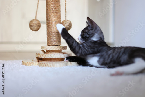 A playful kitten engages with its colorful scratching post, showcasing curiosity and energy