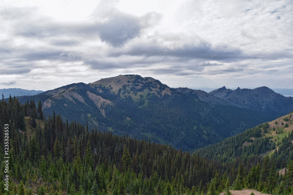 Hurricane Ridge Olympic National Park views from hiking trails by Port Angeles Washington USA Hurricane Ridge Olympic National Park views from hiking trails by Port Angeles Washington USA