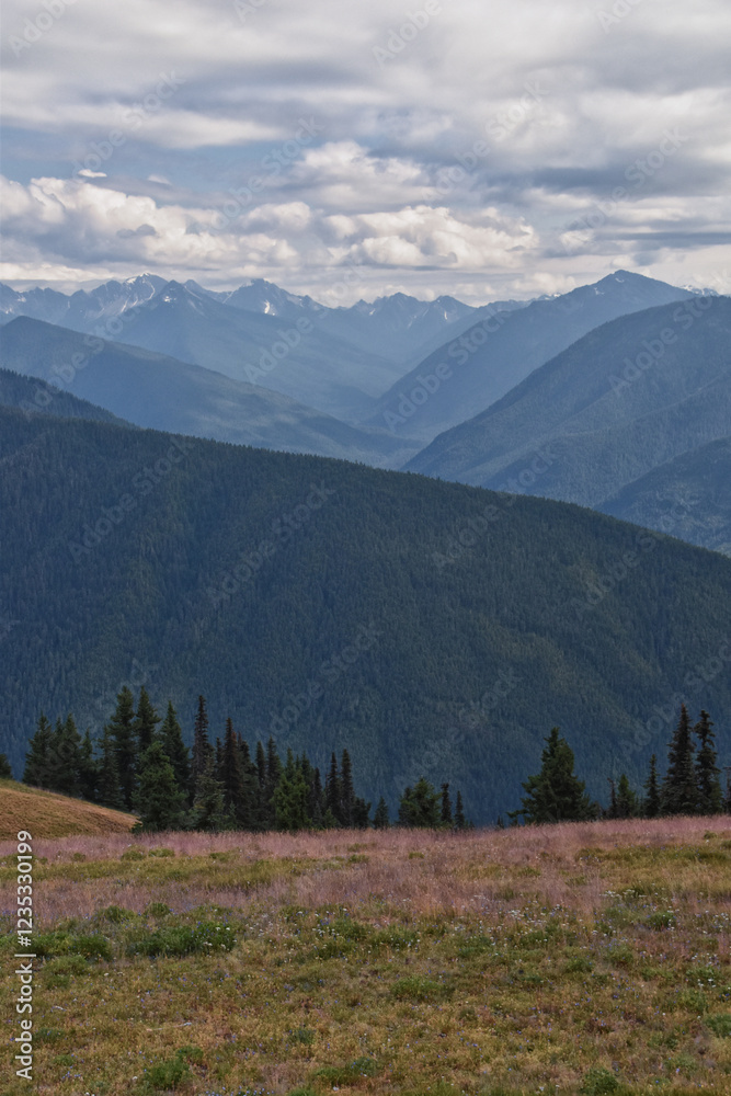 Fototapeta premium Hurricane Ridge Olympic National Park views from hiking trails by Port Angeles Washington USA