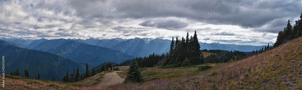 Fototapeta premium Hurricane Ridge Olympic National Park views from hiking trails by Port Angeles Washington USA