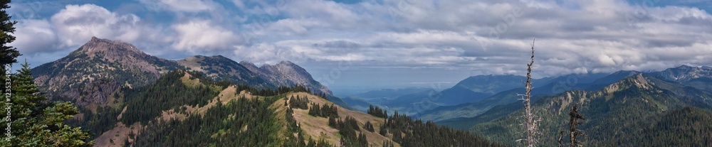 Hurricane Ridge Olympic National Park views from hiking trails by Port Angeles Washington USA Hurricane Ridge Olympic National Park views from hiking trails by Port Angeles Washington USA