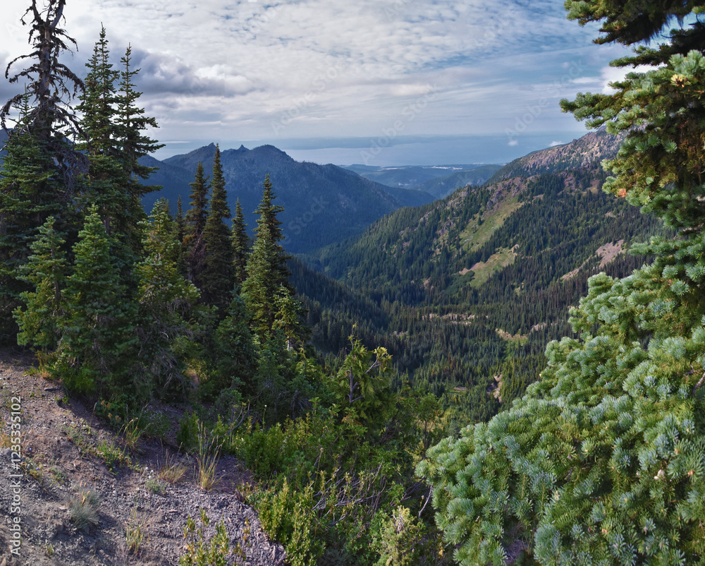 Hurricane Ridge Olympic National Park views from hiking trails by Port Angeles Washington USA Hurricane Ridge Olympic National Park views from hiking trails by Port Angeles Washington USA