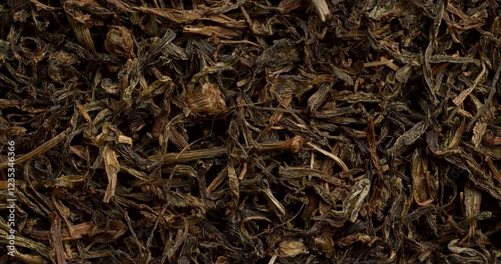 Dried Jimbu herb background texture - herb belonging to the onion family, used extensively in Nepal and in some Himalayan states of India. Close-up. Zoom in while rotating. Dried Jimbu herb background texture - herb belonging to the onion family, used extensively in Nepal and in some Himalayan states of India. Close-up. Zoom in while rotating.
