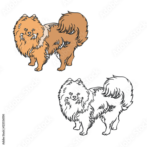 pomeranian drawing with line art. Simple design. You can change color you want. Vector illustration