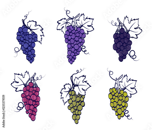 Colorful grapes set. Violet, green and blue sketch of grapes. Vineyard and winemaking. Agriculture and viticulture. Ingredient for alcoholic drinks. Flat vector collection
