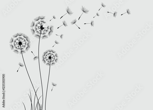 Wild flower dandelion in a vector style isolated. Vector flower for background, dandelion flying wall decal children's room 