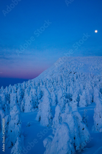  夕暮れの蔵王樹氷