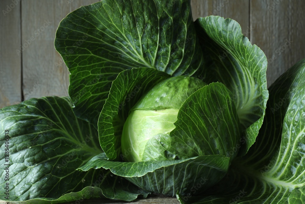 Fototapeta premium One ripe head of cabbage on wooden table, closeup