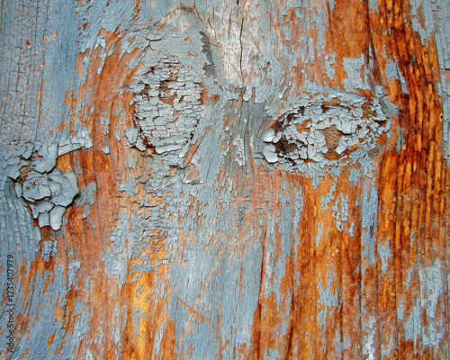 a very natural sharp wood photo from nature