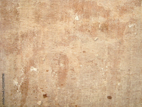 a very natural sharp wood photo from nature
