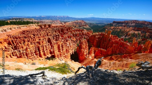 Panoramic view of Bryce Canyon amphitheater with hoodoos, geological structures formed by frost weathering and stream erosion of sedimentary rock (Utah, United States of America)