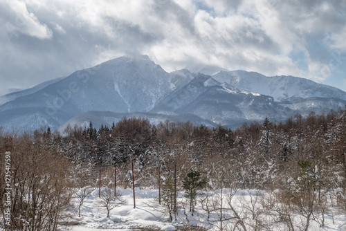 福島県北塩原村　裏磐梯の雪原の風景
 photo