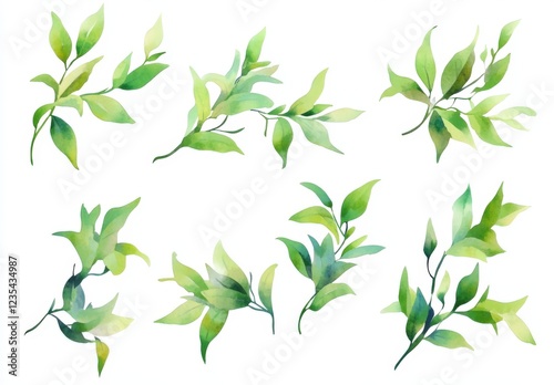 Wallpaper Mural A set of green leaves with a white background Torontodigital.ca