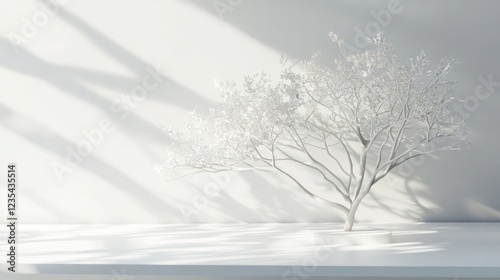 Wallpaper Mural Minimalist white tree, sunlit room, empty space, product display Torontodigital.ca