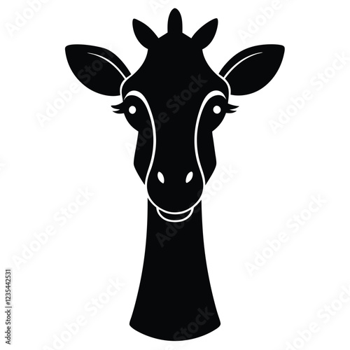 The forehead and neck of a giraffe against a white backdrop