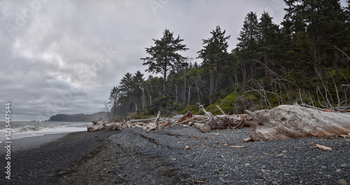 Rialto Beach beach and ocean island views at dusk in Olympic National Park, Washington State, USA.  photo