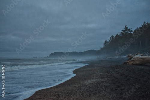 Obraz na płótnie Rialto Beach beach and ocean island views at dusk in Olympic National Park, Washington State, USA. w salonie