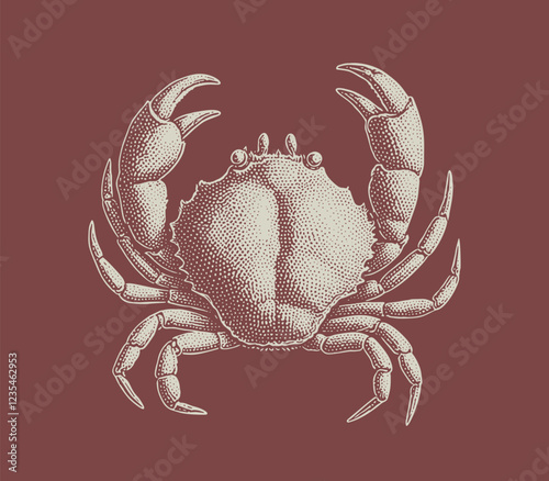 Hand drawn crab design illustration